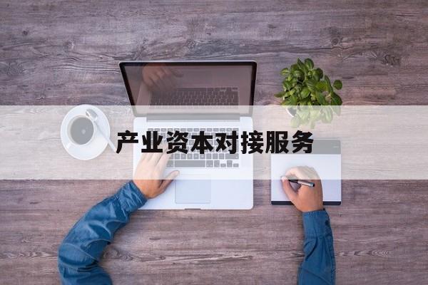 产业资本对接服务(产业资本对接服务包括哪些)西安市