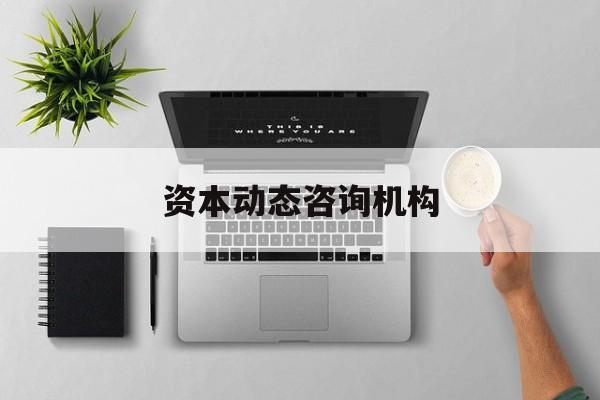 资本动态咨询机构(资本结构动态调整理论)西安市